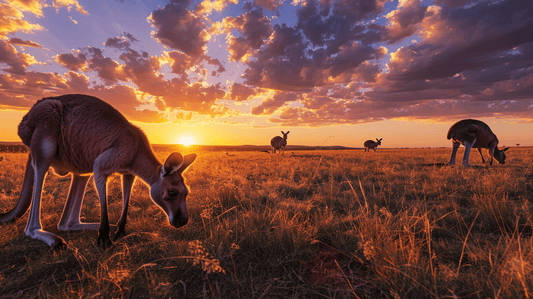 Kangaroos: The Hopping Marvels of Australia