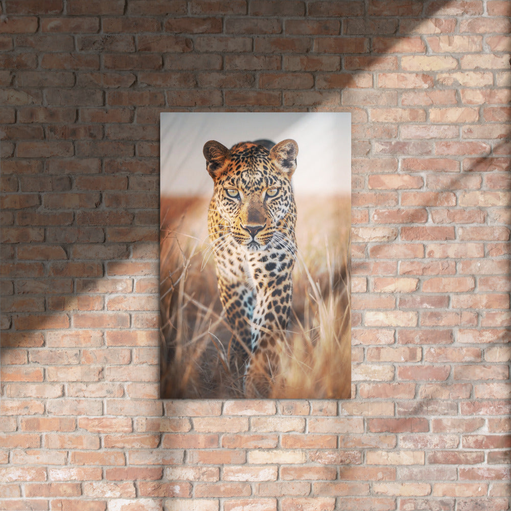 Glossy Metal Canvas Prints