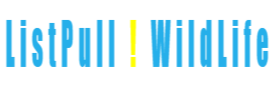Listpull Logo
